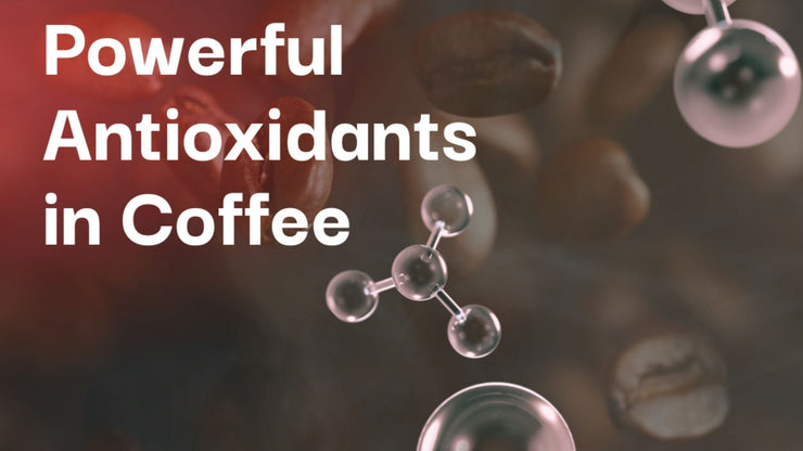 Antioxidants in Coffee