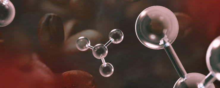 Antioxidants in Coffee