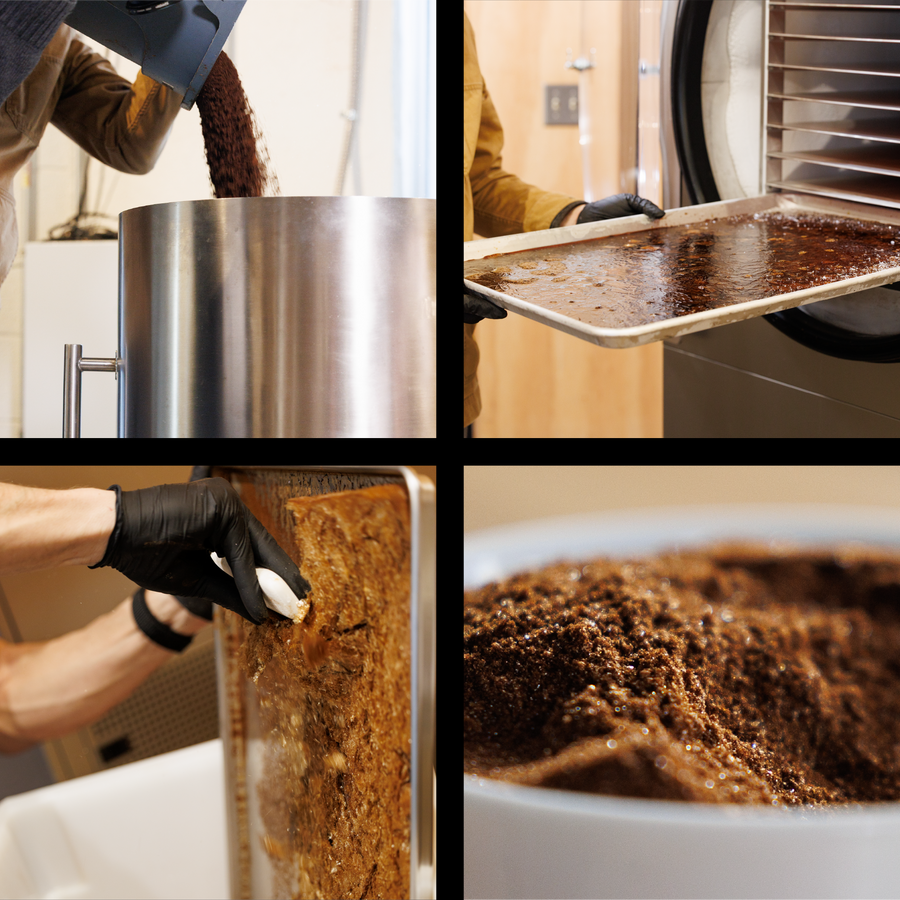 Lifestyle shot of Aeropress brewing Danger Coffee for fresh, mold-free clean energy