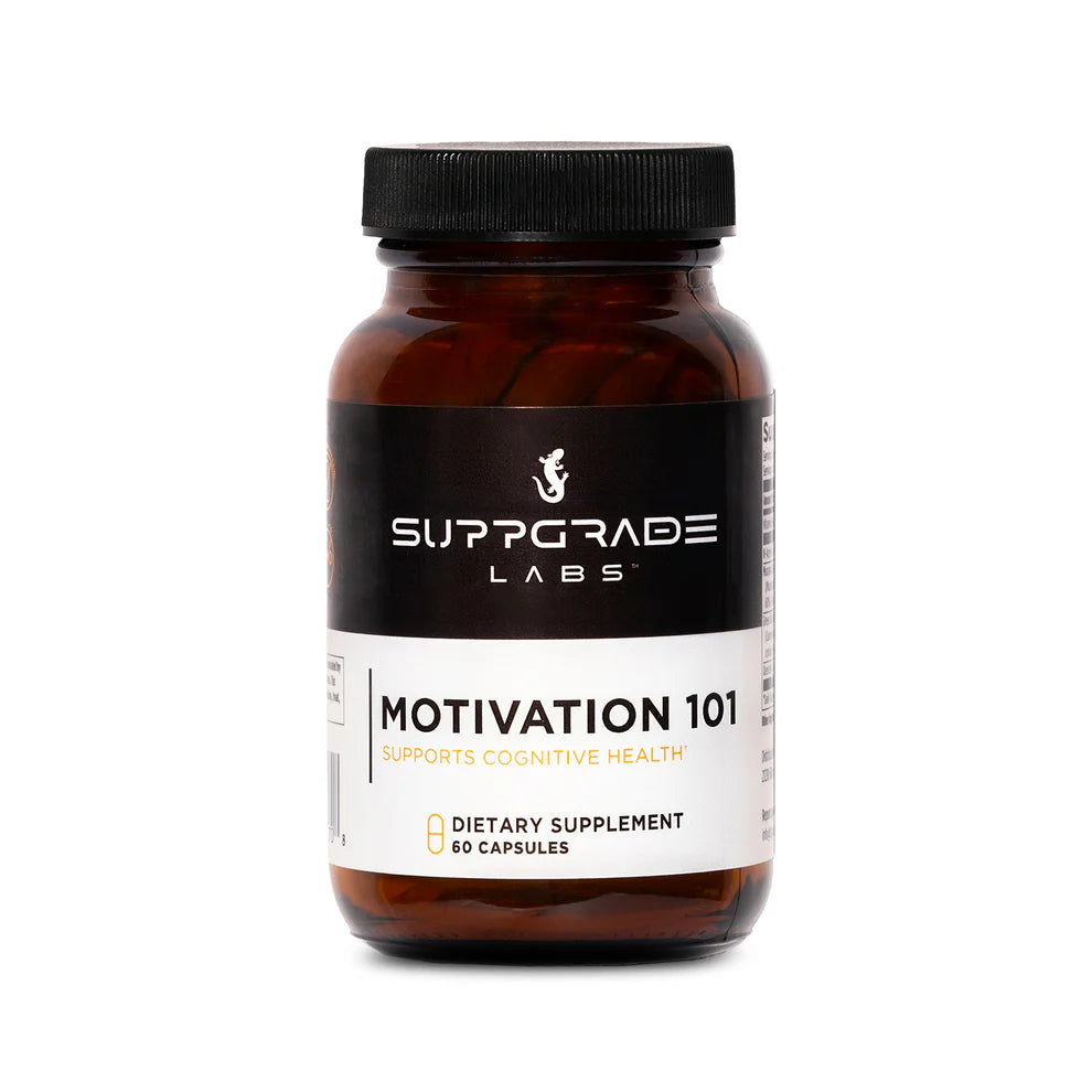 Motivation 101